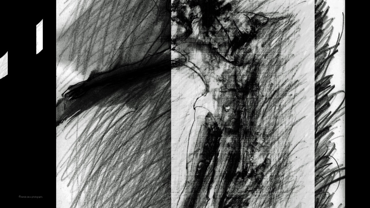 28 Photo from my videopoem, The Dancer’s Backskin, 2011, digital image.